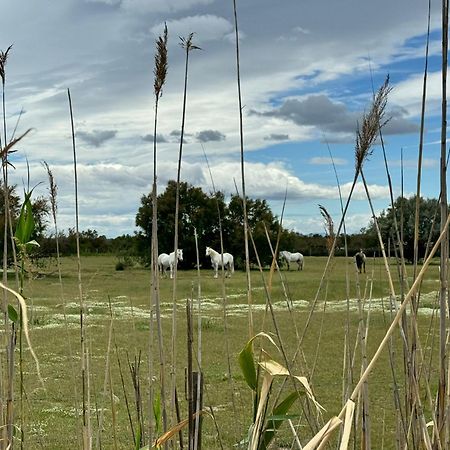 Le Mazet Sooksabai, Confort, Charme Et Decouverte En Petite Camargue Saint-Laurent-dʼAigouze Extérieur photo