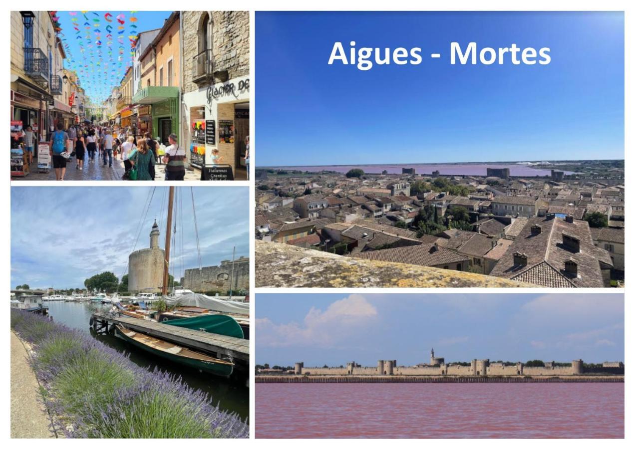 Le Mazet Sooksabai, Confort, Charme Et Decouverte En Petite Camargue Saint-Laurent-dʼAigouze Extérieur photo